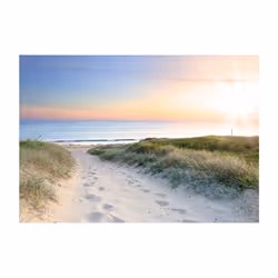 Papier peint intissé Paysages Promenade matinale sur la plage - PD14539-400-280