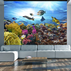 Papier peint intissé Paysages Coral reef - PD14554-400-280