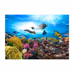 Papier peint intissé Paysages Coral reef - PD14554-400-280
