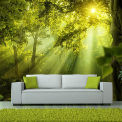 Papier peint intissé Paysages In a Secret Forest - PD14555-400-280