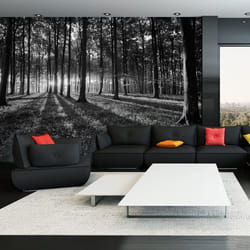 Papier peint intissé Paysages The Light in the Forest - PD14556-400-280