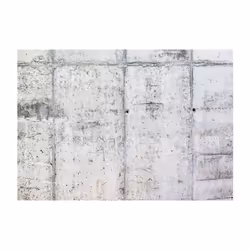 Papier peint intissé Fonds et Dessins Concrete Wall - PD14102-400-280