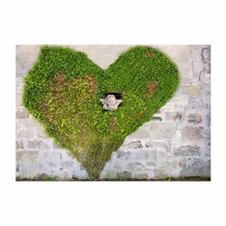 Papier peint intissé Fonds et Dessins Angel Stole My Heart - PD14111-400-280