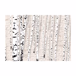 Papier peint intissé Paysages Birchen Grove - PD14570-400-280