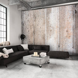 Papier peint intissé Fonds et Dessins Old Concrete - PD14119-400-280