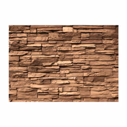Planete Discount PD14125-250-175 papier-peint Papier peint non tissé