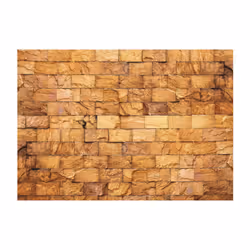 Papier peint intissé Fonds et Dessins Timeless Charm - PD14126-400-280