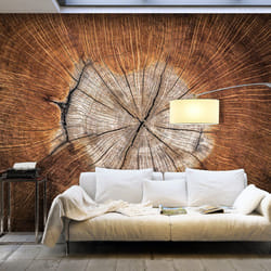 Papier peint intissé Fonds et Dessins The Soul of a Tree Taille 100 x 70 cm