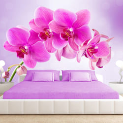 Papier peint intissé Fleurs Thoughtfulness - PD13740-400-280