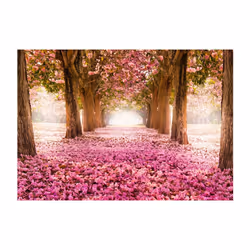 Papier peint intissé Paysages Pink grove - PD14578-400-280