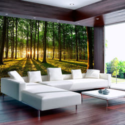 Papier peint intissé Paysages Spring: Morning in the Forest - PD14583-400-280