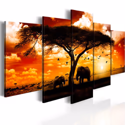 Planete Discount PD11995-100-50, Animaux, Noir, Orange, Rouge, Blanc, Panneaux MDF, 1000 mm, 20 mm, 500 mm