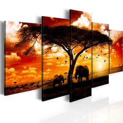 Planete Discount PD11995-100-50 tableau