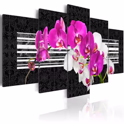 Planete Discount PD11061-200-100, Orchidées, Noir, Vert, Rose, Blanc, Panneaux MDF, 2000 mm, 1000 mm