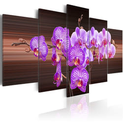 Planete Discount PD11064-100-50 tableau