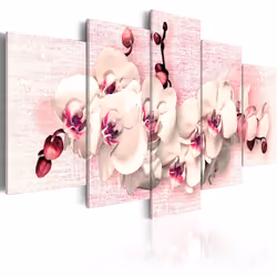 Planete Discount PD11067-200-100, Orchidées, Crème, Rose, Blanc, Panneaux MDF, 2000 mm, 1000 mm