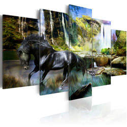 Tableau Cheval noir sur fond de Cascade Paradis - PD8194-200-100