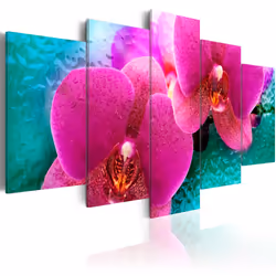 Planete Discount PD11070-200-100, Orchidées, Rose, Violet, Turquoise, Panneaux MDF, 2000 mm, 1000 mm