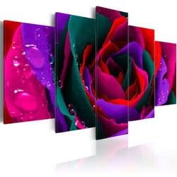 Tableau Fleurs Multicoloured rose - PD11071-200-100