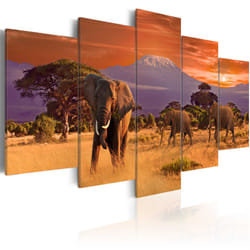Planete Discount PD11996-100-50 tableau