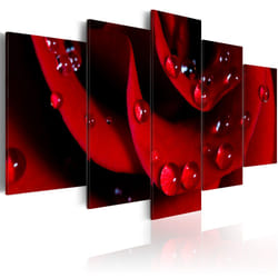 Planete Discount PD11075-100-50 tableau