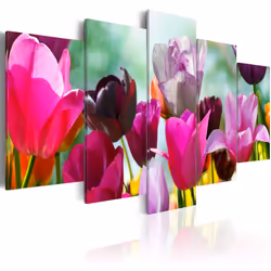 Planete Discount PD11076-200-100, Tulipes, Rose, Violet, Panneaux MDF, 2000 mm, 1000 mm