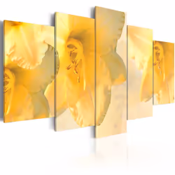 Planete Discount PD11077-200-100, Lys, Crème, Jaune, Panneaux MDF, 2000 mm, 1000 mm