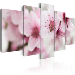 Tableau Fleurs Cerisier - beauté et douceur - PD11078-200-100