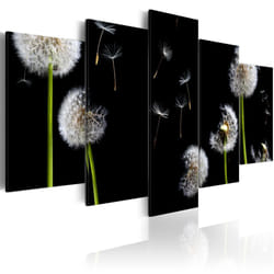 Tableau Fleurs Pissenlit - vers la liberté - PD11079-200-100