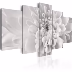 Planete Discount PD11082-200-100, Fleurs variées, Noir, Blanc, Panneaux MDF, 2000 mm, 1000 mm