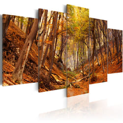 Planete Discount PD9869-100-50 tableau