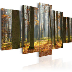 Tableau Un joli paysage de forêt - PD9872-200-100