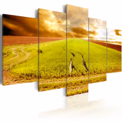 Planete Discount PD9877-200-100, Plaines et vallées, Marron, Vert, Gris, Orange, Panneaux MDF, 2000 mm, 20 mm, 1000 mm