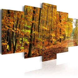 Tableau Voie parmi les feuilles collorées - PD9878-200-100