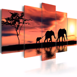 Planete Discount PD11998-200-100, Animaux, Noir, Orange, Rose, Panneaux MDF, 2000 mm, 20 mm, 1000 mm