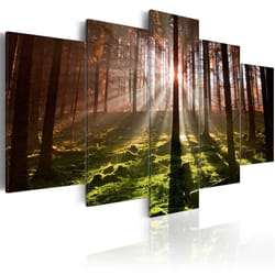 Planete Discount PD9881-100-50 tableau