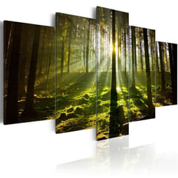 Planete Discount PD9882-100-50 tableau
