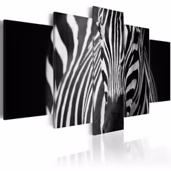 Planete Discount PD8202-100-50, Zèbres, Noir, Blanc, Panneaux MDF, 1000 mm, 20 mm, 500 mm
