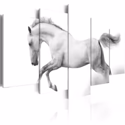 Planete Discount PD8203-100-50, Chevaux, Noir, Blanc, Panneaux MDF, 1000 mm, 20 mm, 500 mm