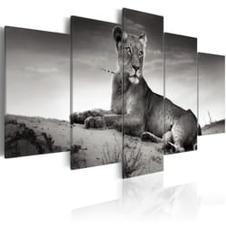 Planete Discount PD8204-100-50 tableau