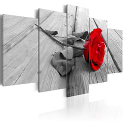 Planete Discount PD11088-100-50 tableau