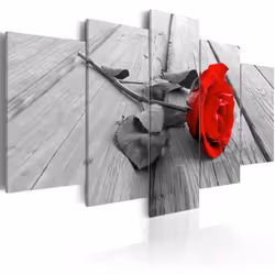 Planete Discount PD11088-200-100, Roses, Gris, Rouge, Panneaux MDF, 2000 mm, 1000 mm