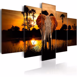 Planete Discount PD8208-200-100, Éléphants, Noir, Gris, Orange, Panneaux MDF, 2000 mm, 20 mm, 1000 mm