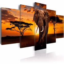 Planete Discount PD12001-200-100, Animaux, Marron, Gris, Orange, Panneaux MDF, 2000 mm, 20 mm, 1000 mm