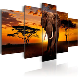 Tableau Tableau africain et ethnique The Savannah King - PD12001-200-100