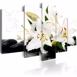 Planete Discount PD12526-200-100, Noir, Vert, Blanc, Panneaux MDF, 2000 mm, 20 mm, 1000 mm