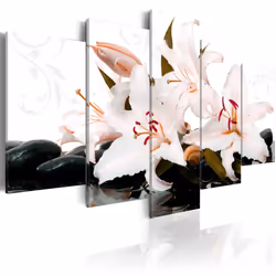 Planete Discount PD11102-200-100, Lys, Noir, Rose, Blanc, Panneaux MDF, 2000 mm, 1000 mm