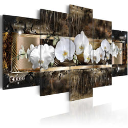 Planete Discount PD11106-100-50 tableau