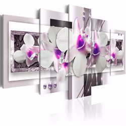 Planete Discount PD11113-100-50