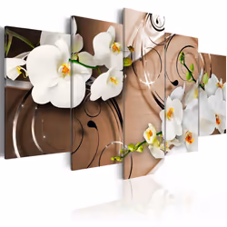 Planete Discount PD11117-100-50